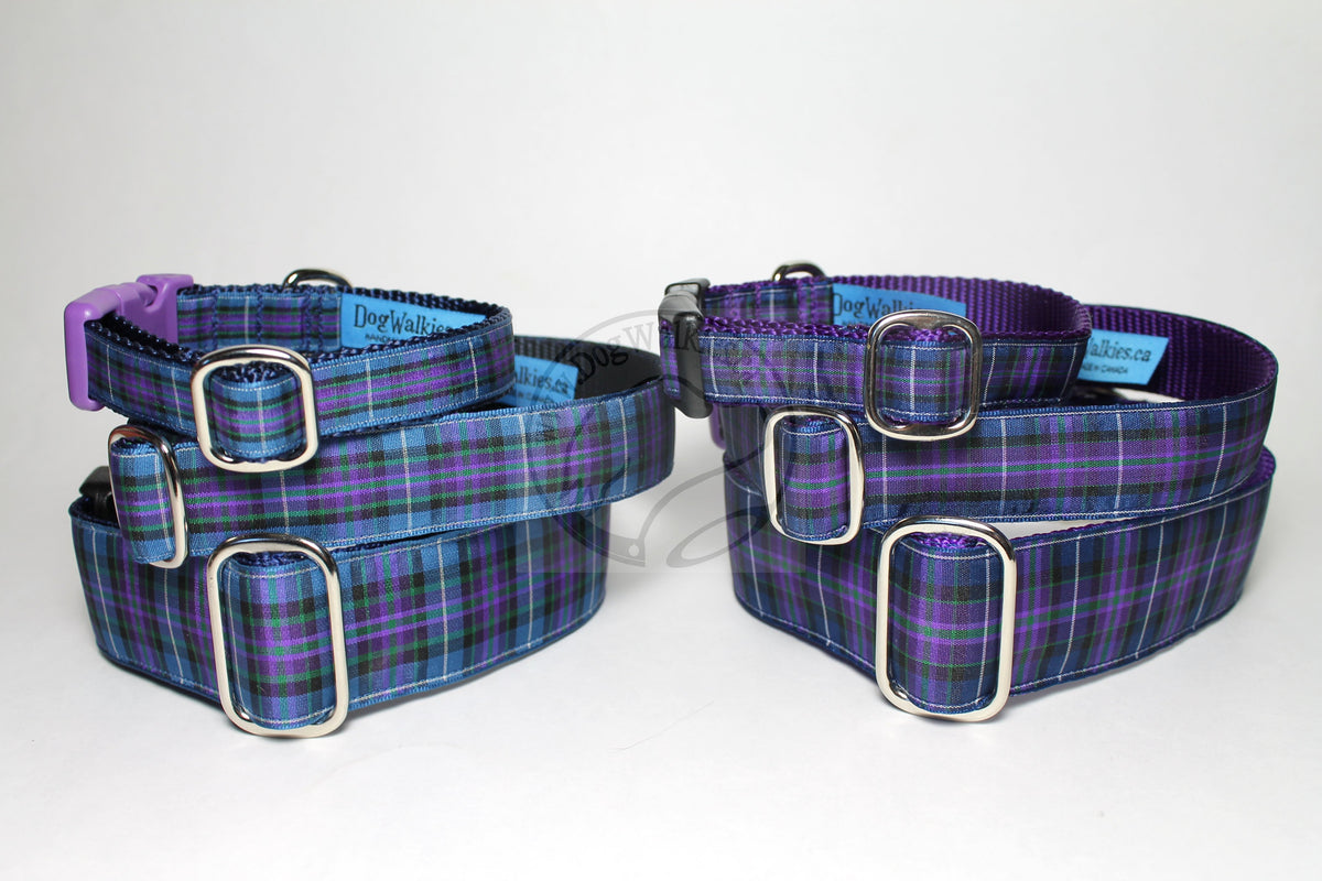 Purple tartan dog collar hotsell