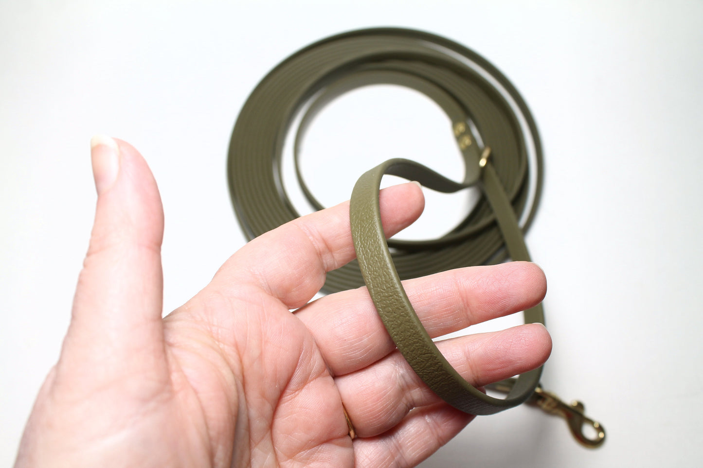 Lighter Weight Waterproof Tracking Recall Long Line - leash for smaller dog or cats - 3/8" (9mm) Biothane