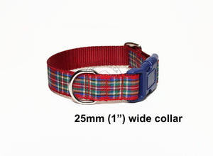 Stewart Royal tartan - dog collar
