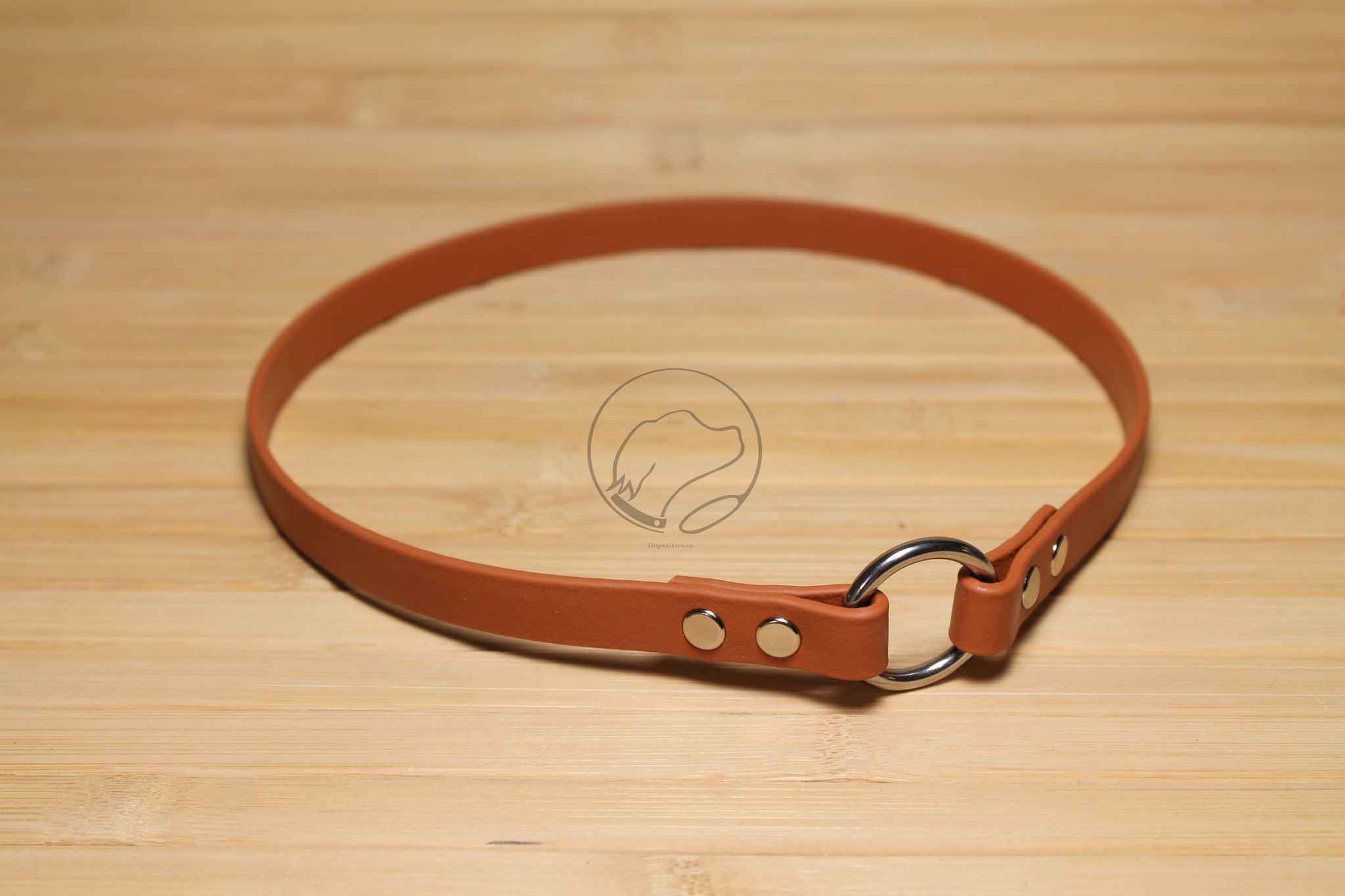 Simple Tag Dog Collar in Genuine Biothane - 12mm (1/2") width - O Ring Collar