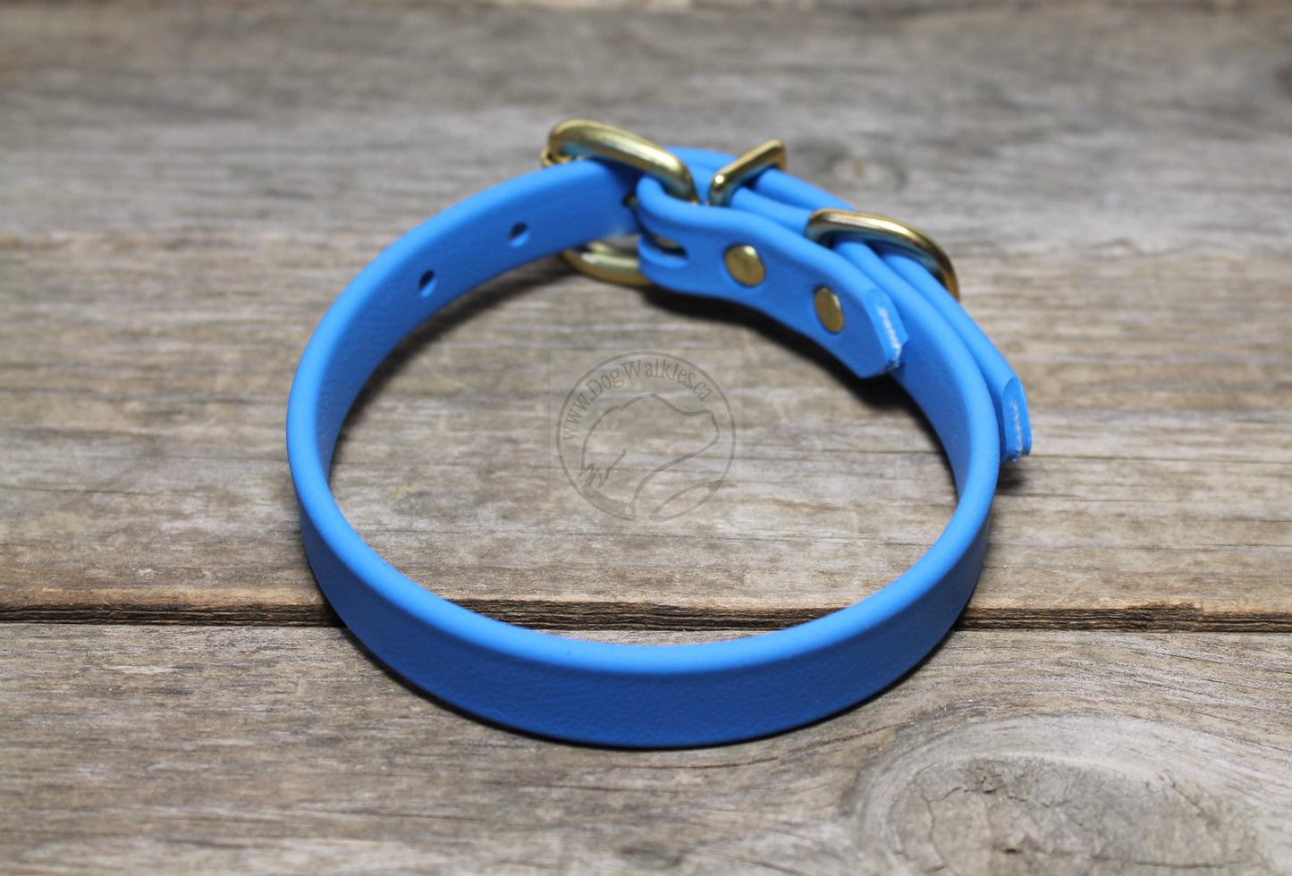 Caribbean Blue Biothane Dog Collar - 5/8"(16mm) wide
