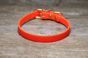 Neon Blaze Orange Biothane Small Dog Collar - 1/2" (12mm) wide