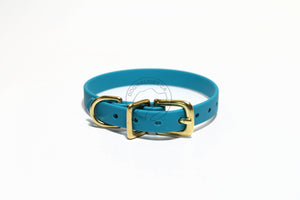 Oasis Blue Biothane Small Dog Collar - 1/2" (12mm) wide