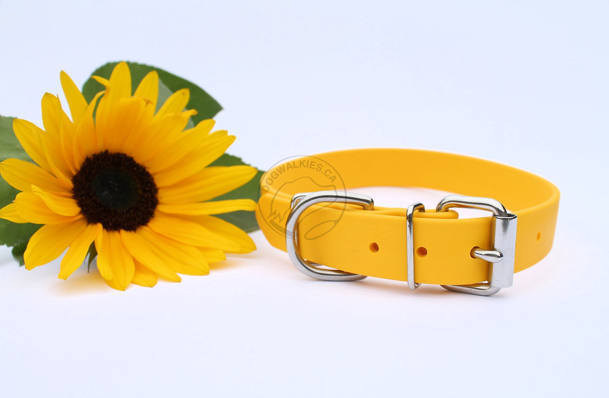 Dog sunflower cheap collar