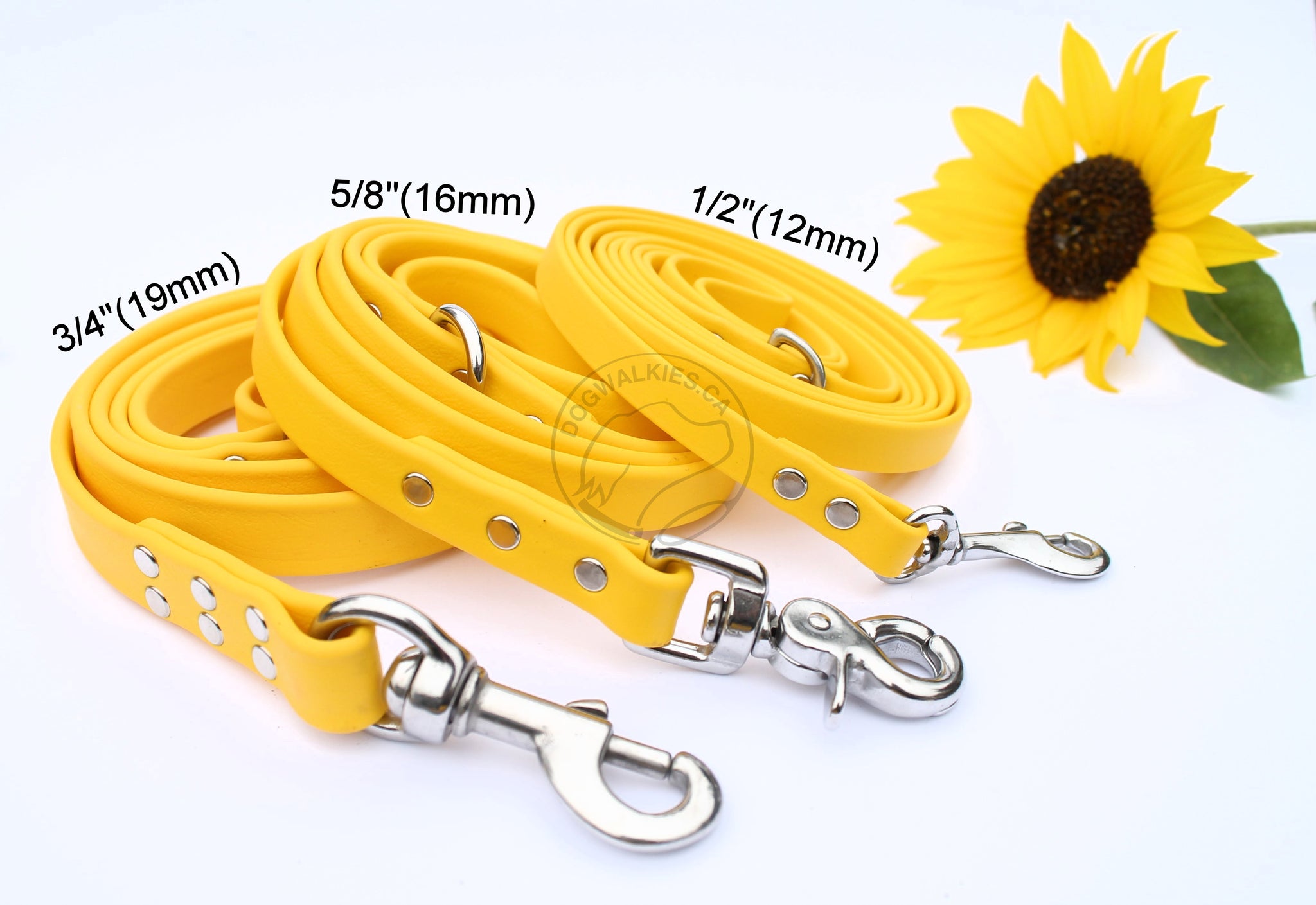 Sunflower Yellow Biothane Large Dog Leash