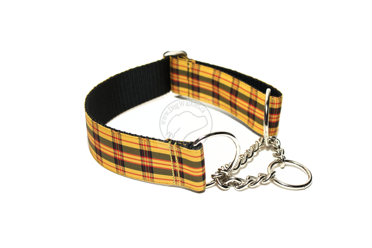 MacLeod Clan tartan LIMITED dog collar – Dog - Main Image