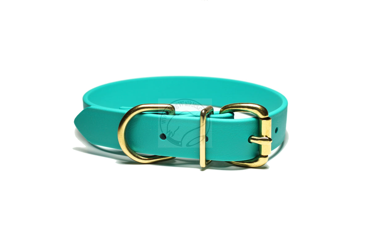 Teal blue best sale dog collar