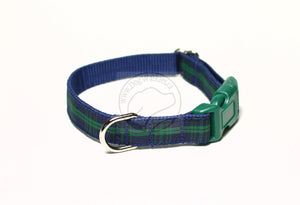 Blackwatch clan tartan - dog collar