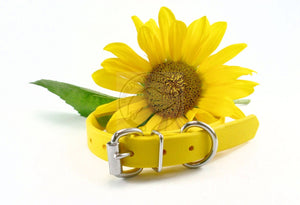 Sunflower Yellow Biothane Dog Collar - 3/4" (20mm) wide