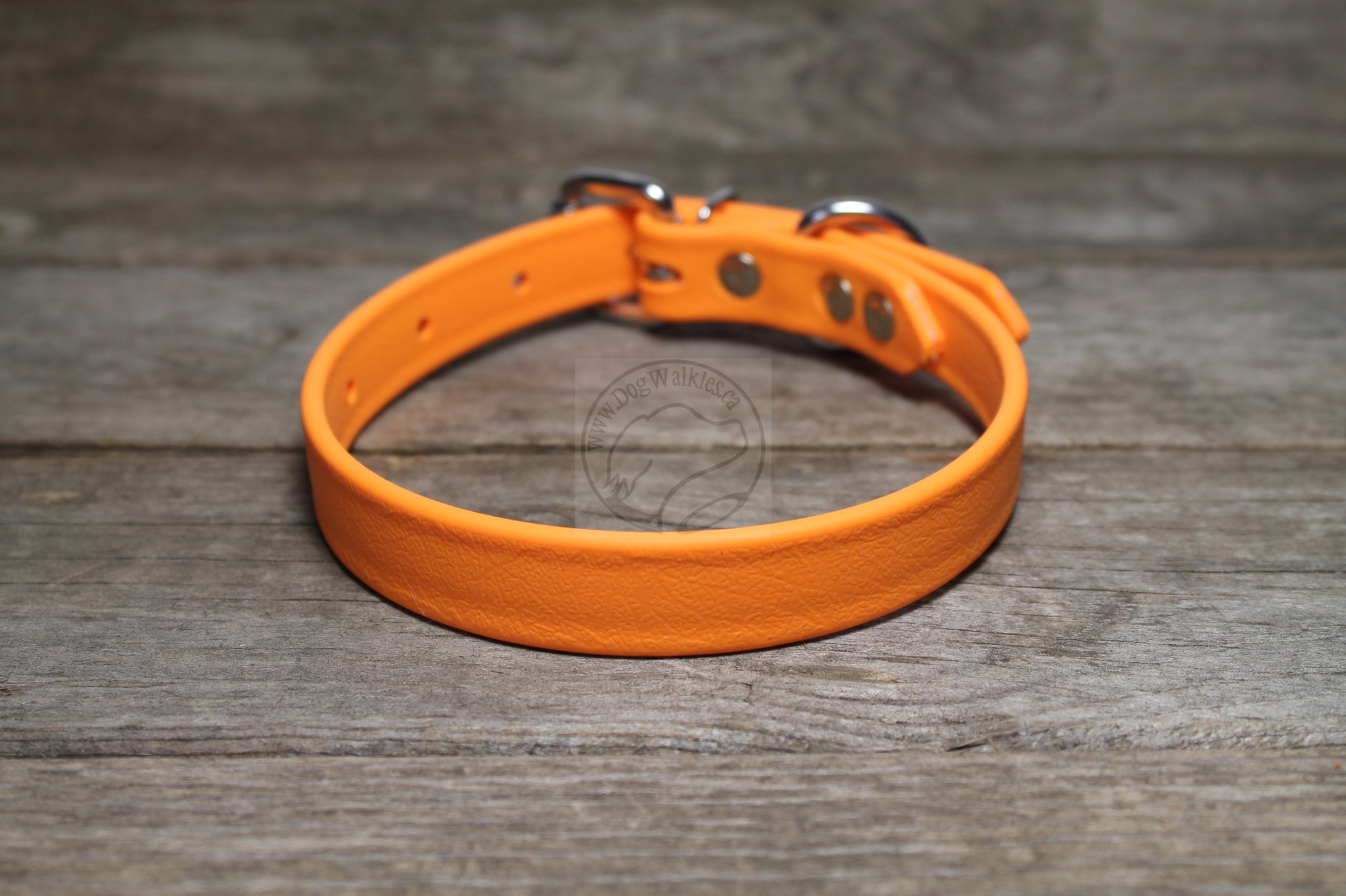 Bright Pumpkin Orange Biothane Dog Collar - 3/4" (20mm) wide