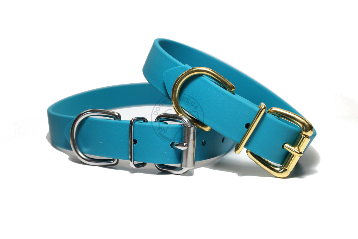 Oasis Blue Biothane Dog Collar 1 inch 25mm wide