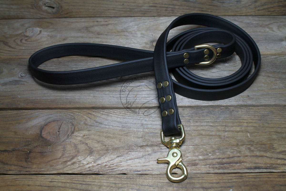 Jet Black Biothane Large Dog Leash Dog Walkies