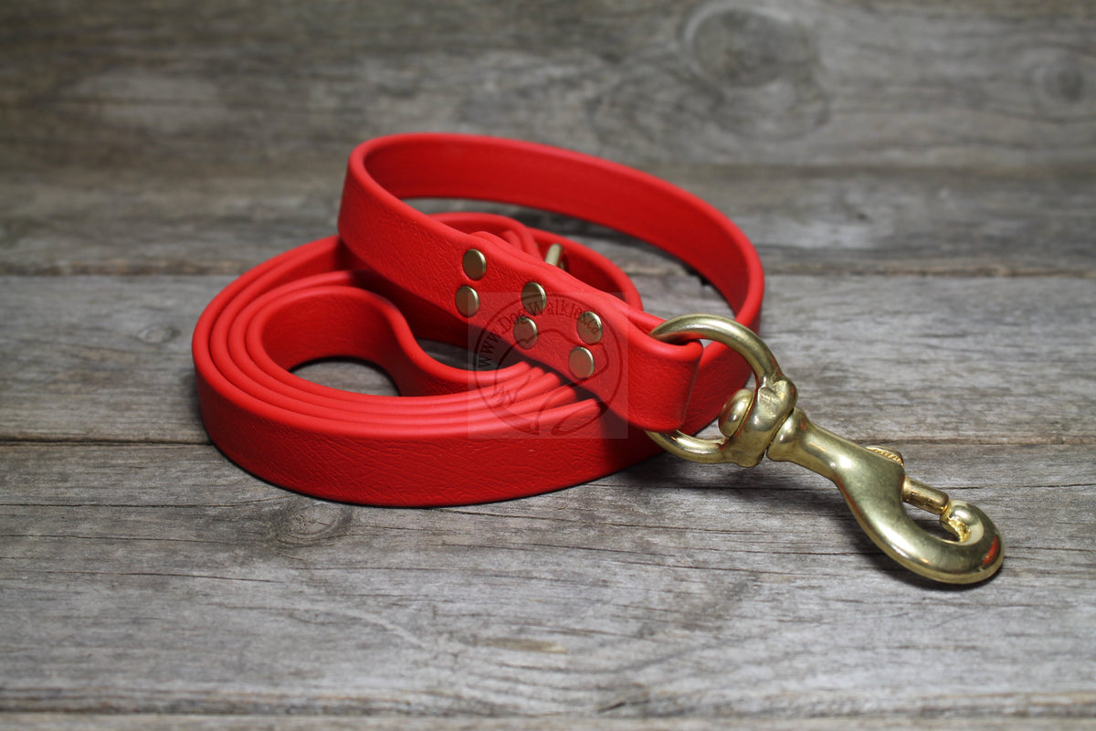 Poppy dog sale collar and lead