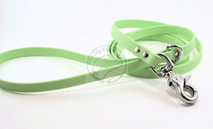 Discontinued- Limited Pastel Mint Green Small Dog Leash