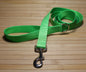 Nylon Dog Leash; Simple - Elegant - Strong; Regular Plain Leash; 1" (25mm) wide