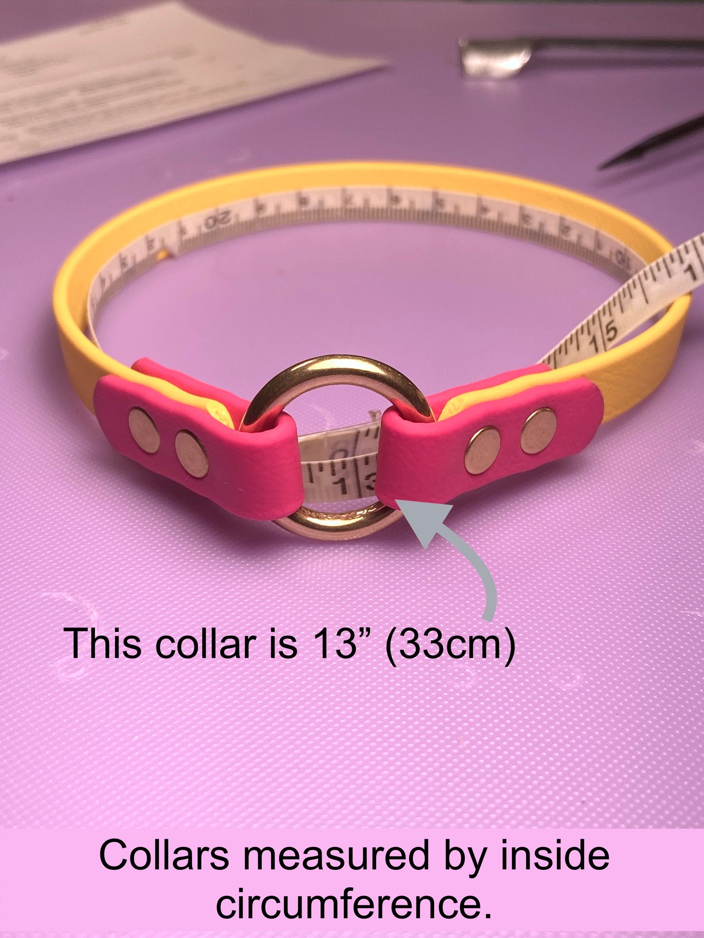 Chill Home Tag Collar Biothane Bicolour Dog Collar - Waterproof -  1/2" (12mm) wide