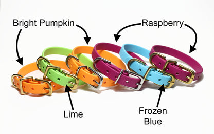 Bright Pumpkin Orange Biothane Small Dog Collar - 1/2" (12mm) wide