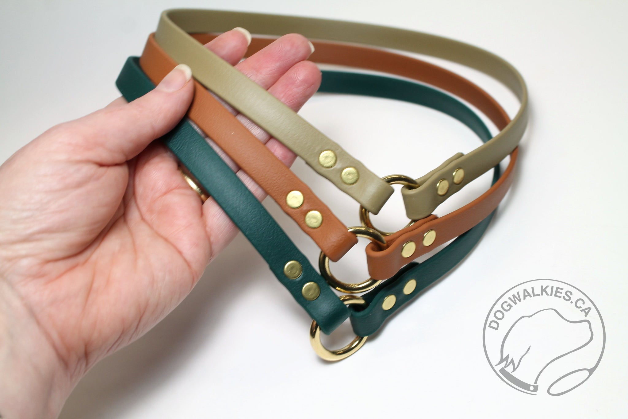 Simple Tag Dog Collar in Genuine Biothane - 12mm (1/2") width - O Ring Collar