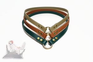 Simple Tag Dog Collar in Genuine Biothane - 12mm (1/2") width - O Ring Collar