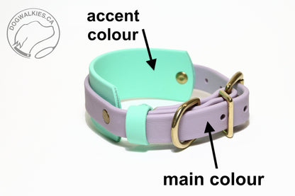 Thinner Style Biothane Dog Collar in Two Tone - 1.5 inch (38mm) and 3/4" (20mm) wide (Copy)