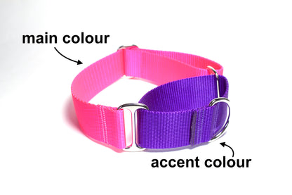 Wide Martingale Dog Collar 1.5" (38mm); Simple - Elegant - Strong