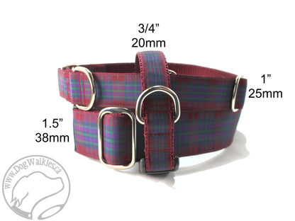 Pride of Scotland Autumn tartan - dog collar
