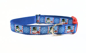 Winter Frosty - nylon dog collar