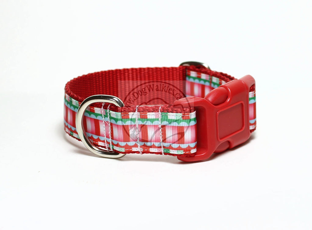Candy Shoppe - nylon dog collar