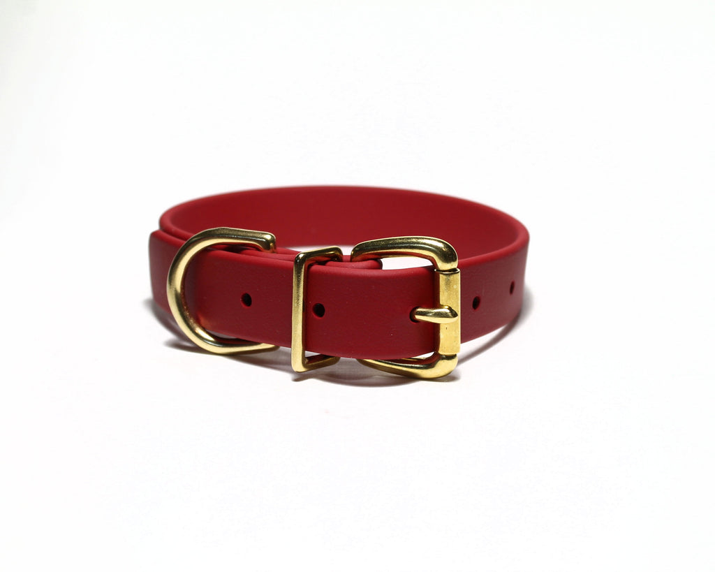 Red faux leather collar with a gold buckle on a white background