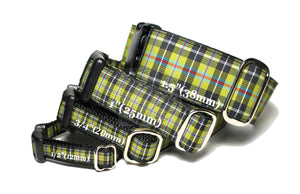 Cornish National tartan - dog collar