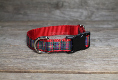 Cameron of Erracht clan tartan - dog collar
