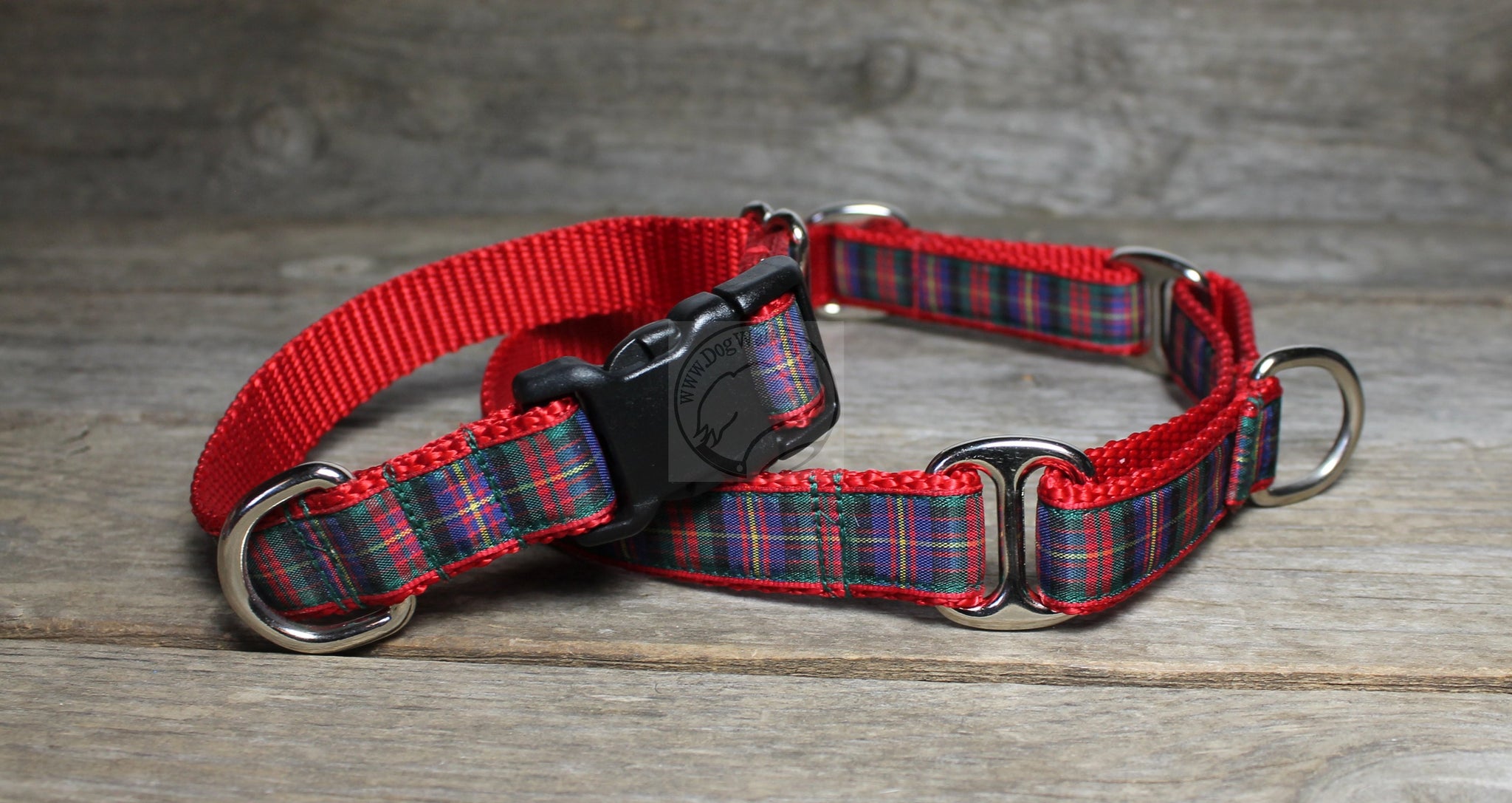 Cameron of Erracht clan tartan - dog collar