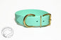 Sea Foam Green Biothane Dog Collar - Extra Wide - 1.5 inch (38mm) wide