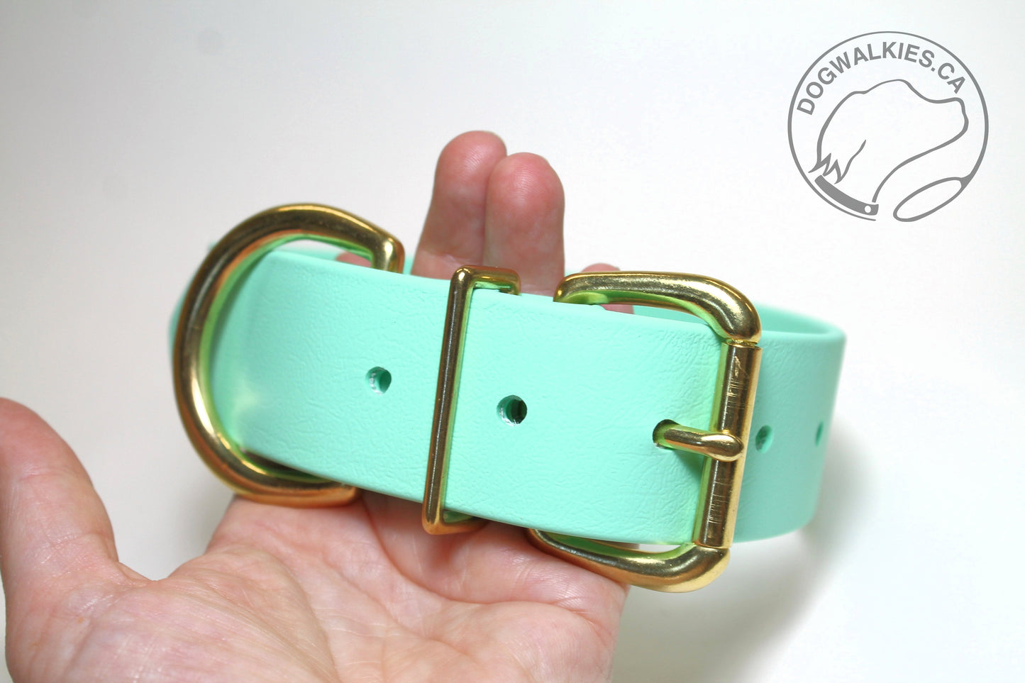 Sea Foam Green Biothane Dog Collar - Extra Wide - 1.5 inch (38mm) wide