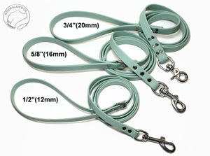 Sage Green Biothane Small Dog Leash