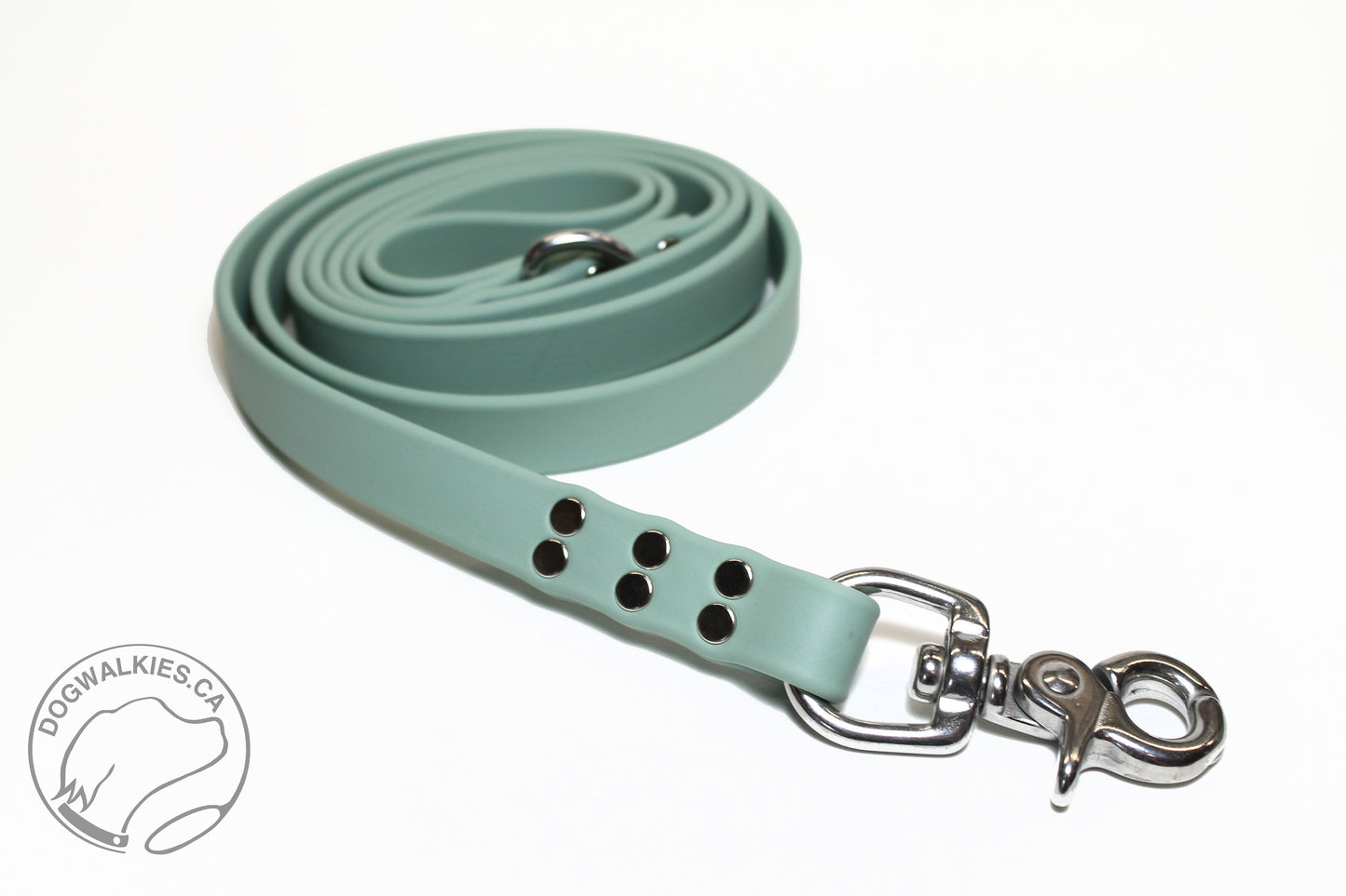 Sage Green Biothane Large Dog Leash