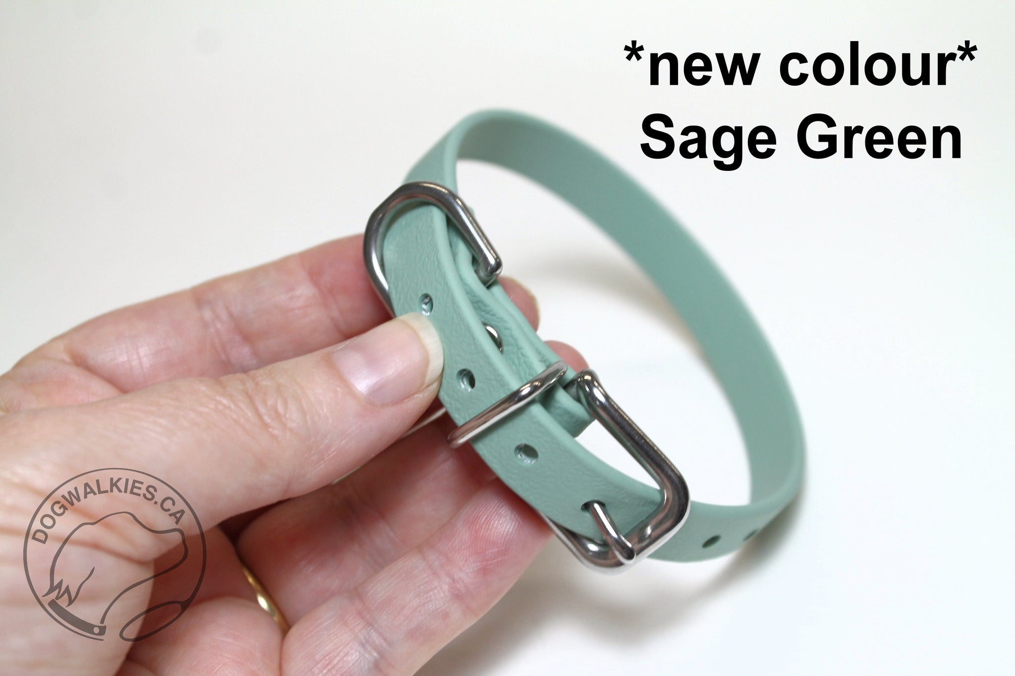 NEW Sage Green Biothane Small Dog Collar - 1/2" (12mm) wide
