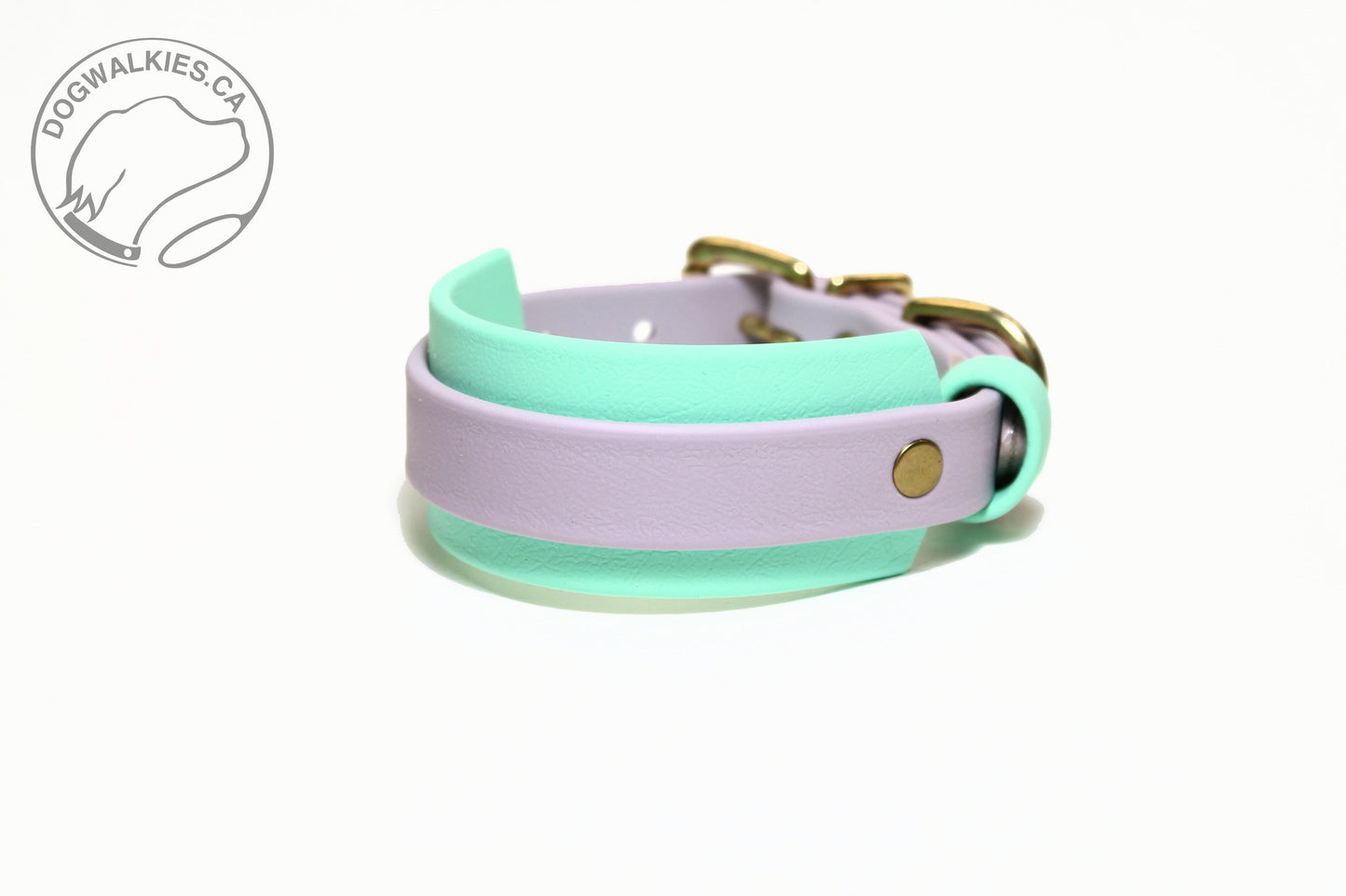 Thinner Style Biothane Dog Collar in Two Tone - 1.5 inch (38mm) and 3/4" (20mm) wide (Copy)