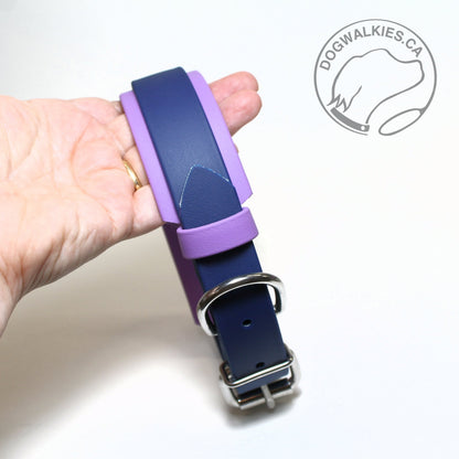 Biothane Dog Collar in Two Tone - 1.5 inch (38mm) and 1 inch (25mm) wide