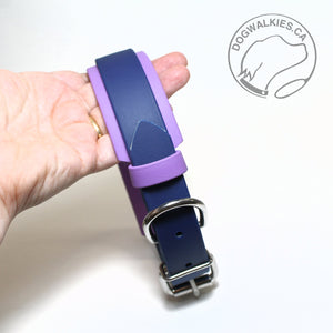 *New Style Biothane Dog Collar in Two Tone - 1.5 inch (38mm) and 1 inch (25mm) wide