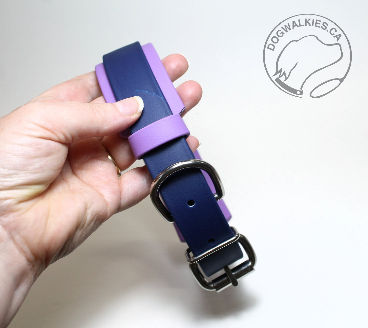 Biothane Dog Collar in Two Tone - 1.5 inch (38mm) and 1 inch (25mm) wide