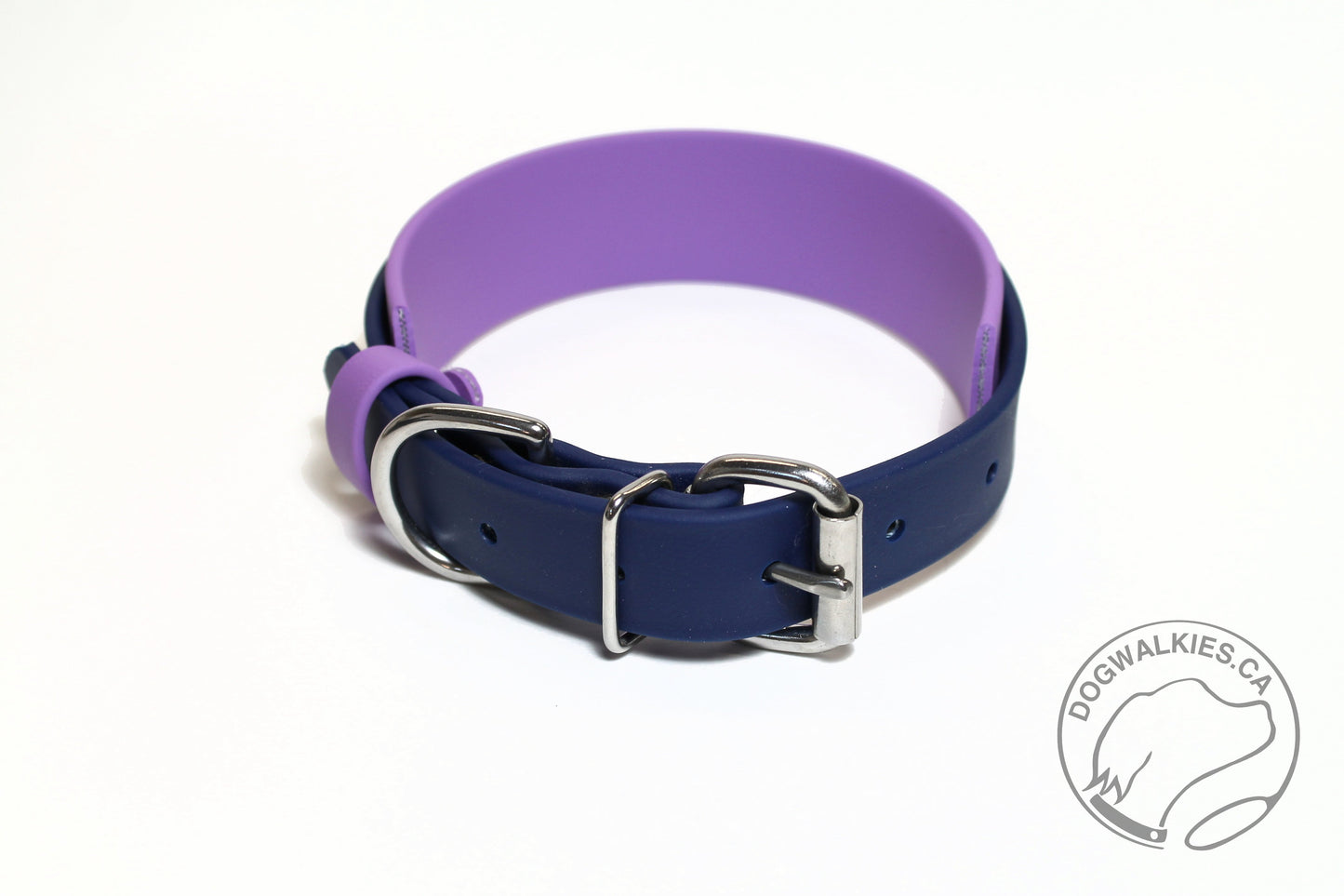 Biothane Dog Collar in Two Tone - 1.5 inch (38mm) and 1 inch (25mm) wide