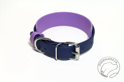 Biothane Dog Collar in Two Tone - 1.5 inch (38mm) and 1 inch (25mm) wide