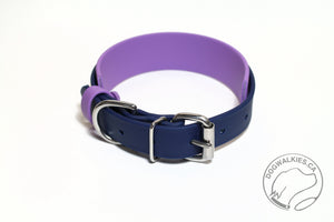 *New Style Biothane Dog Collar in Two Tone - 1.5 inch (38mm) and 1 inch (25mm) wide