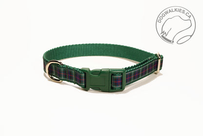 MacKenzie Clan tartan - dog collar