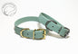 Large Dog Collar in Genuine Biothane - 25mm (1") width - 39 colours