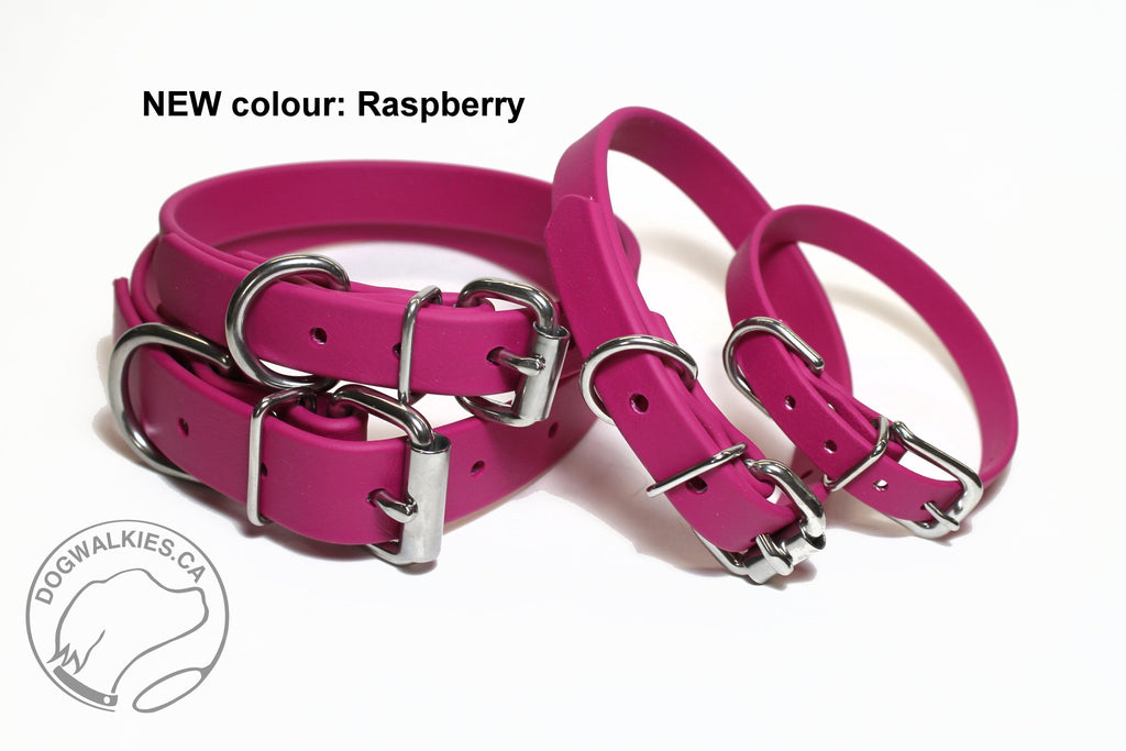 **NEW Raspberry Biothane Dog Collar - 1 inch (25mm) wide