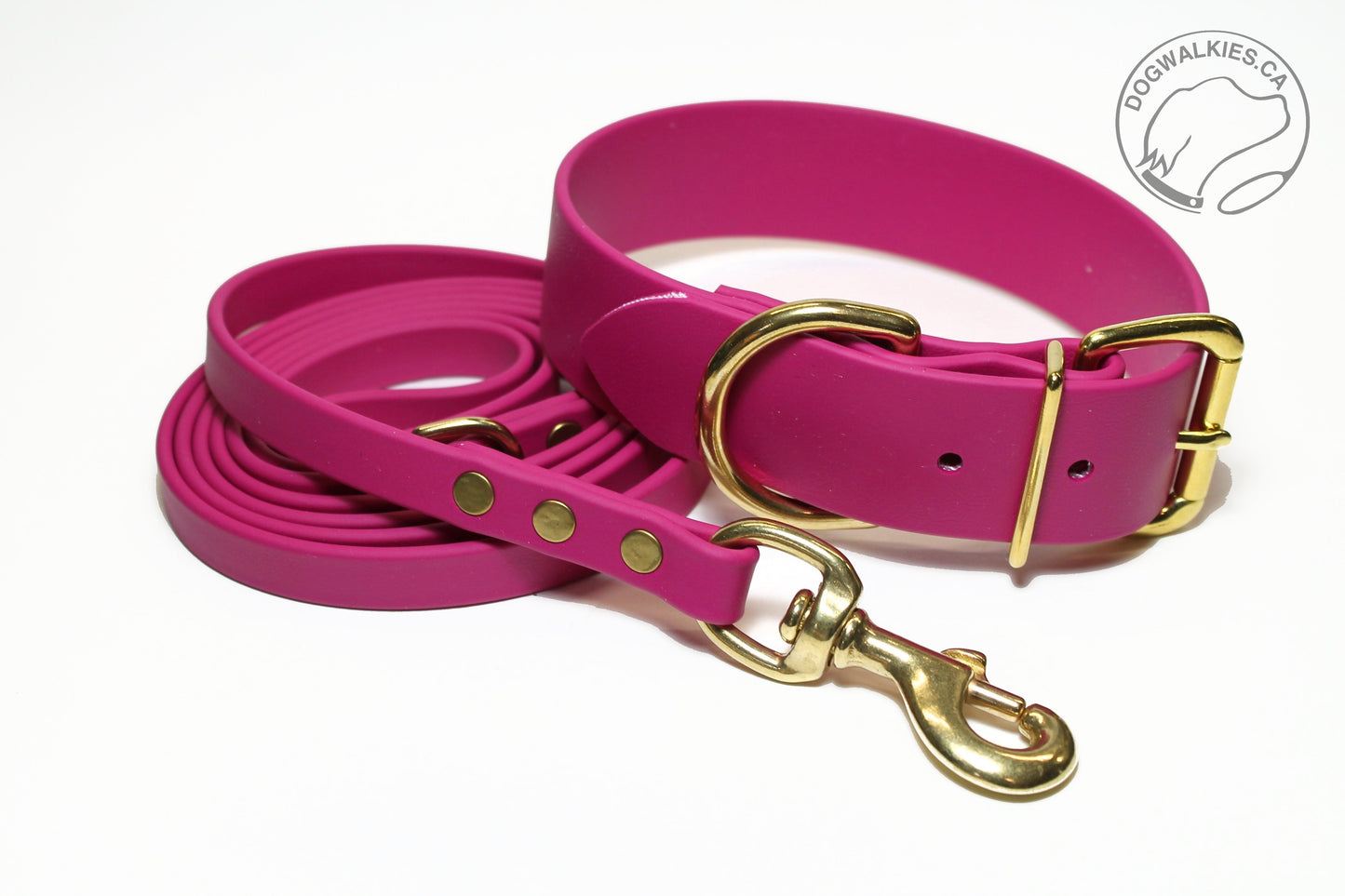 Raspberry Biothane Dog Leash - Regular 16mm (5/8") width