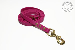 Raspberry Biothane Dog Leash