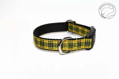 MacLeod Clan tartan - dog collar - NEW